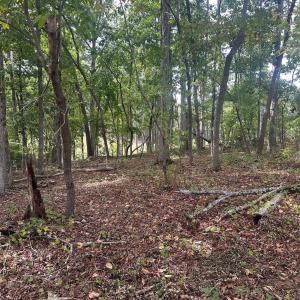 Photo #6 of Lot 92 Tidewater, Norwood, NC