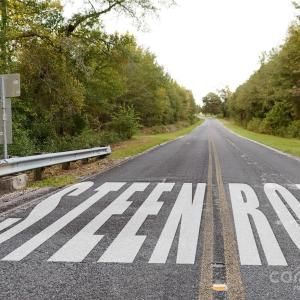 Photo #13 of Steen, Mount Croghan, SC