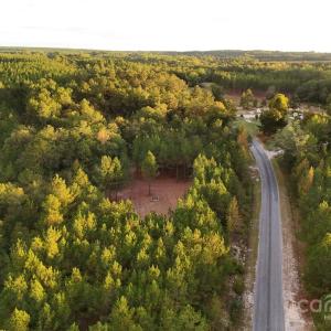 Photo #7 of Steen, Mount Croghan, SC