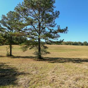 Photo #11 of Wagoner, Richfield, NC