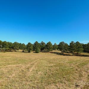 Photo #5 of Wagoner, Richfield, NC