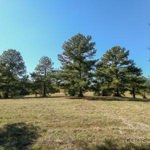 Photo #10 of Wagoner, Richfield, NC