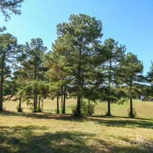 Photo #8 of Wagoner, Richfield, NC