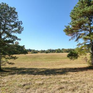 Photo #12 of Wagoner, Richfield, NC