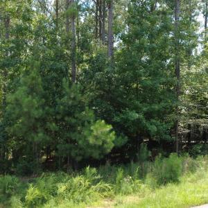 Photo #2 of 4155 Persimmon, Lancaster, SC