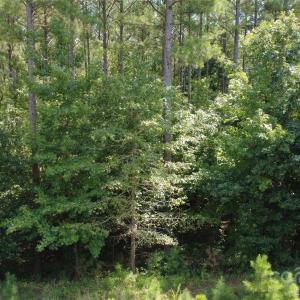 Photo #3 of 4155 Persimmon, Lancaster, SC