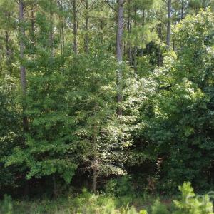 Photo #2 of 4155 Persimmon, Lancaster, SC