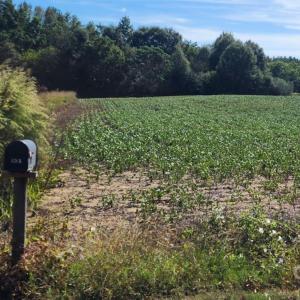 Photo #8 of Old Pageland Marshville, Wingate, NC