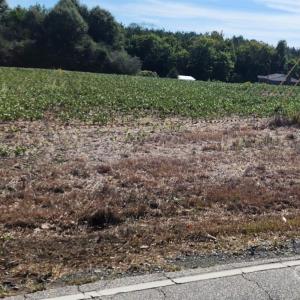 Photo #2 of Old Pageland Marshville, Wingate, NC