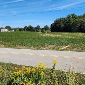 Photo #11 of Old Pageland Marshville, Wingate, NC