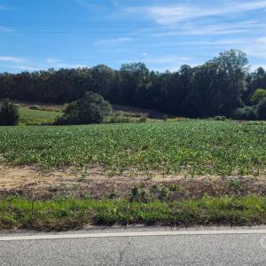 Photo #6 of Old Pageland Marshville, Wingate, NC