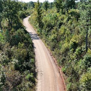 Photo #14 of Lot 1 Farris Cato, Pageland, SC