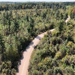 Photo #15 of Lot 1 Farris Cato, Pageland, SC