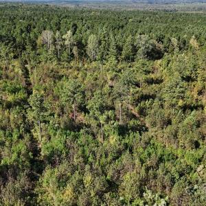 Photo #11 of Lot 1 Farris Cato, Pageland, SC