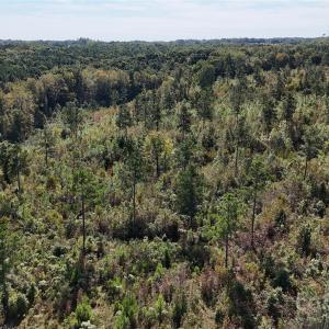 Photo #5 of Lot 1 Farris Cato, Pageland, SC