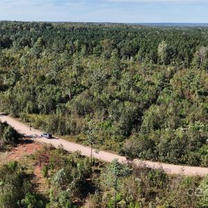 Photo #25 of Lot 1 Farris Cato, Pageland, SC