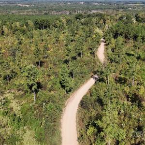 Photo #9 of Lot 1 Farris Cato, Pageland, SC