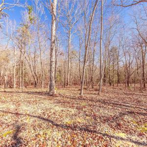 Photo #9 of 00-B Van Wyck, Lancaster, SC