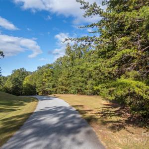 Photo #8 of 100 Pardo, Landrum, SC