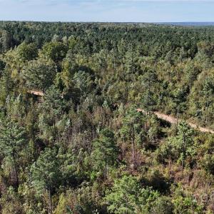 Photo #27 of Lot 25 Farris Cato, Pageland, SC