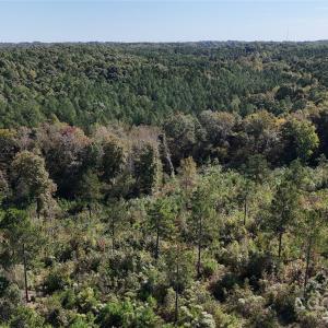 Photo #8 of Lot 25 Farris Cato, Pageland, SC