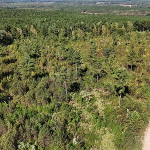 Photo #12 of Lot 25 Farris Cato, Pageland, SC