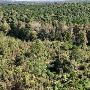 Photo #9 of Lot 25 Farris Cato, Pageland, SC