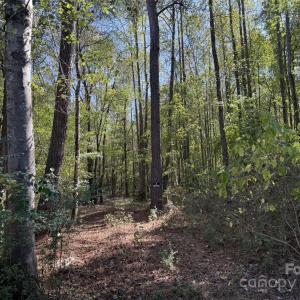 Photo #3 of Short, Morven, NC