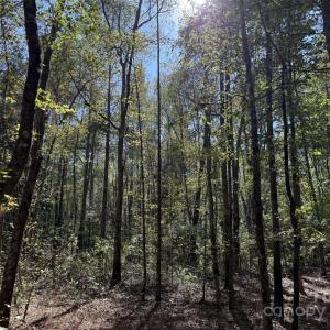 Photo #6 of Short, Morven, NC