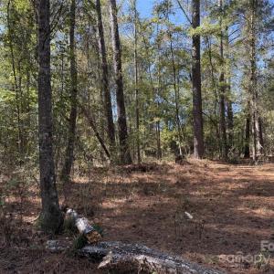 Photo #5 of Short, Morven, NC