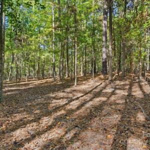 Photo #13 of Rehobeth, Waxhaw, NC