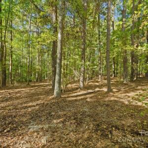 Photo #11 of Rehobeth, Waxhaw, NC