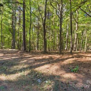 Photo #16 of Rehobeth, Waxhaw, NC