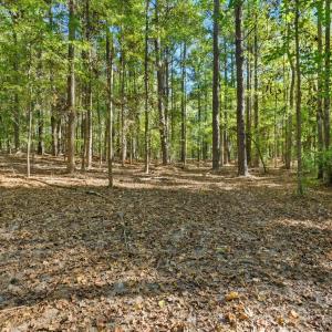 Photo #2 of Rehobeth, Waxhaw, NC