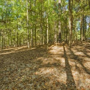 Photo #10 of Rehobeth, Waxhaw, NC