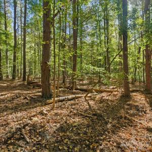 Photo #9 of Rehobeth, Waxhaw, NC