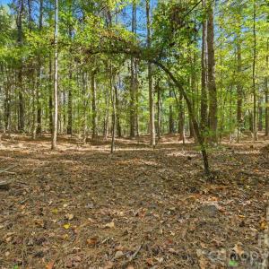 Photo #6 of Rehobeth, Waxhaw, NC