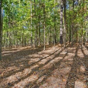 Photo #13 of Rehobeth, Waxhaw, NC