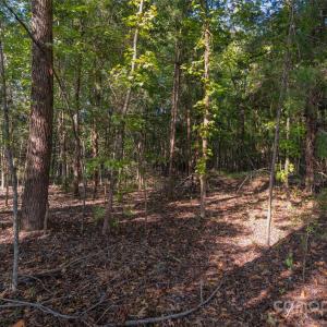 Photo #10 of 1009 Oakshire, Waxhaw, NC