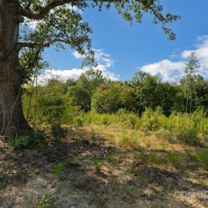 Photo #27 of 1009 Oakshire, Waxhaw, NC