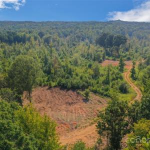 Photo #21 of 1009 Oakshire, Waxhaw, NC