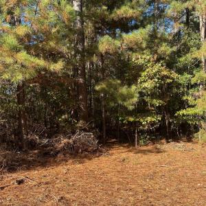 Photo #2 of Horton, Wadesboro, NC