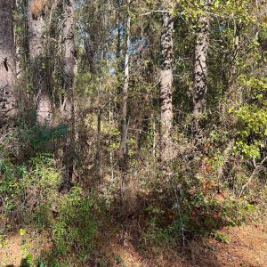 Photo #3 of Horton, Wadesboro, NC