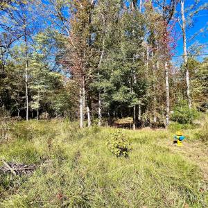 Photo #2 of Riveroaks, Lancaster, SC