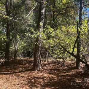 Photo #5 of 5 AC Ernandez, Richburg, SC