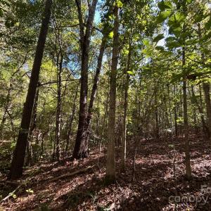 Photo #30 of 5 AC Ernandez, Richburg, SC