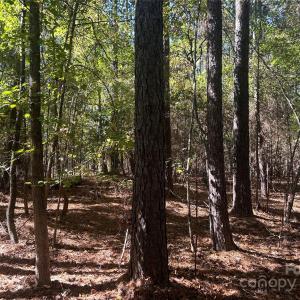 Photo #4 of 5 AC Ernandez, Richburg, SC