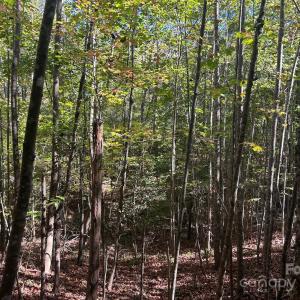 Photo #33 of 5 AC Ernandez, Richburg, SC