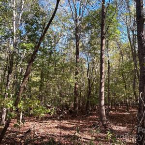 Photo #20 of 5 AC Ernandez, Richburg, SC