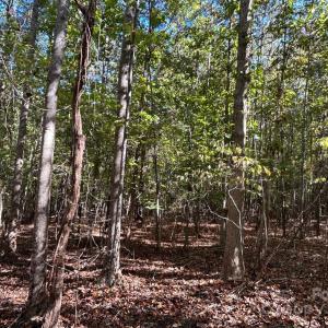 Photo #24 of 5 AC Ernandez, Richburg, SC